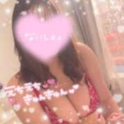 ヒメ日記 2025/05/01 09:35 投稿 レム 石庭