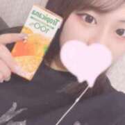 ヒメ日記 2025/05/02 16:20 投稿 レム 石庭