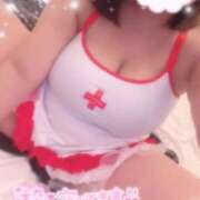 ヒメ日記 2025/06/13 12:22 投稿 レム 石庭