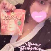 ヒメ日記 2025/06/19 19:26 投稿 レム 石庭