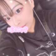 ヒメ日記 2025/06/20 15:50 投稿 レム 石庭