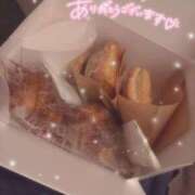 ヒメ日記 2025/06/22 13:50 投稿 レム 石庭