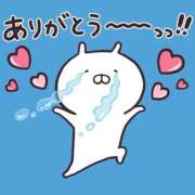 ヒメ日記 2025/08/09 16:56 投稿 レム 石庭