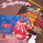 ヒメ日記 2025/08/10 16:20 投稿 レム 石庭