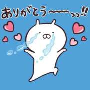 ヒメ日記 2025/08/12 14:20 投稿 レム 石庭