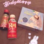 ヒメ日記 2025/08/13 15:50 投稿 レム 石庭
