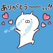 ヒメ日記 2025/08/13 18:50 投稿 レム 石庭