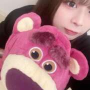 ヒメ日記 2025/08/14 12:50 投稿 レム 石庭