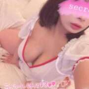 ヒメ日記 2025/08/15 09:44 投稿 レム 石庭