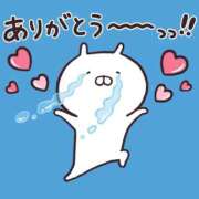 ヒメ日記 2025/08/15 16:00 投稿 レム 石庭