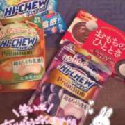 ヒメ日記 2025/08/15 18:20 投稿 レム 石庭