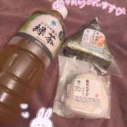 ヒメ日記 2025/08/16 16:20 投稿 レム 石庭