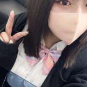 ヒメ日記 2025/08/17 09:50 投稿 レム 石庭