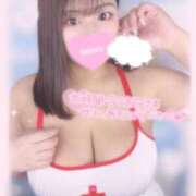 ヒメ日記 2025/08/17 14:20 投稿 レム 石庭