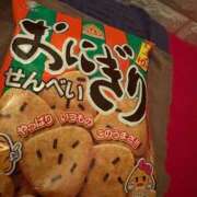 ヒメ日記 2025/09/12 15:21 投稿 レム 石庭