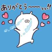 ヒメ日記 2025/09/12 16:39 投稿 レム 石庭