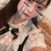 ヒメ日記 2025/09/26 12:50 投稿 レム 石庭