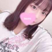 ヒメ日記 2025/11/02 09:21 投稿 レム 石庭