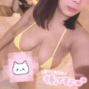 ヒメ日記 2025/11/02 20:20 投稿 レム 石庭