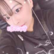 ヒメ日記 2025/11/04 09:20 投稿 レム 石庭