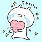 ヒメ日記 2025/11/04 11:10 投稿 レム 石庭