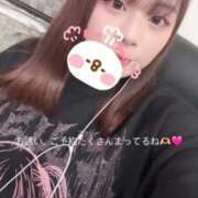 ヒメ日記 2025/12/01 14:52 投稿 レム 石庭