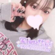 ヒメ日記 2025/12/10 18:20 投稿 レム 石庭