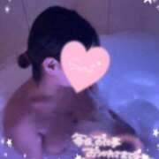 ヒメ日記 2025/12/26 16:20 投稿 レム 石庭