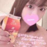 ヒメ日記 2025/12/27 20:30 投稿 レム 石庭