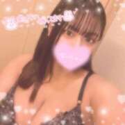 ヒメ日記 2025/12/29 16:10 投稿 レム 石庭