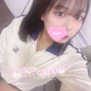 ヒメ日記 2026/02/17 09:34 投稿 レム 石庭