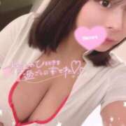 ヒメ日記 2026/03/22 09:30 投稿 レム 石庭