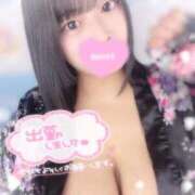 ヒメ日記 2026/04/24 12:50 投稿 レム 石庭