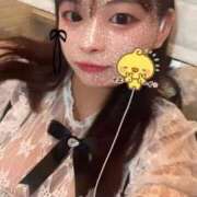 ヒメ日記 2026/05/05 09:50 投稿 レム 石庭