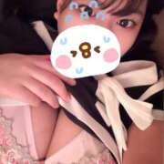 ヒメ日記 2026/08/21 18:20 投稿 レム 石庭