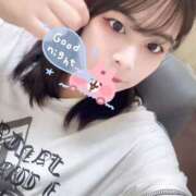 ヒメ日記 2026/08/22 21:21 投稿 レム 石庭