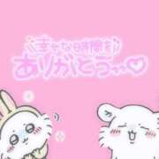 ヒメ日記 2025/03/29 16:21 投稿 野間 亜弥 超LEXUS