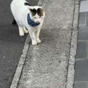 ヒメ日記 2025/05/27 09:31 投稿 野間 亜弥 超LEXUS