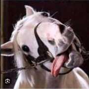 ヒメ日記 2025/06/15 01:01 投稿 野間 亜弥 超LEXUS