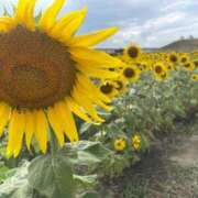 ヒメ日記 2025/07/01 12:51 投稿 野間 亜弥 超LEXUS