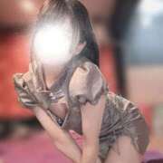 ヒメ日記 2026/03/20 12:51 投稿 野間 亜弥 超LEXUS