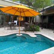 ヒメ日記 2024/12/09 20:49 投稿 みどり先生 クラスメイト