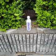 ヒメ日記 2026/04/24 08:21 投稿 なぎ 大奥 梅田店