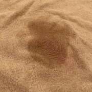 ヒメ日記 2025/04/04 17:12 投稿 えみり 新橋平成女学園