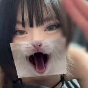 ヒメ日記 2024/12/17 20:45 投稿 すい 逆バニーメンズエステ とろとろオイルSPA