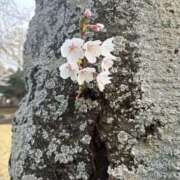 ひな こんにちは！ 渋谷じゃっくす