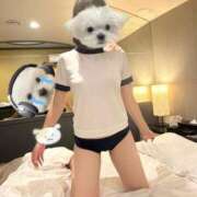 ヒメ日記 2025/10/17 16:51 投稿 きあら 静岡ハンパじゃない伝説