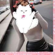 ヒメ日記 2025/04/22 18:46 投稿 かな ままどーる