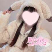 ヒメ日記 2025/01/14 14:47 投稿 しらゆり スピード日本橋店