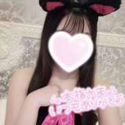 ヒメ日記 2025/06/19 01:47 投稿 しらゆり スピード日本橋店